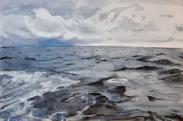 Malba, 2017